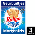 Robijn Geurbuiltjes morgenfris